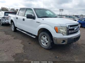 FORD F-150 XLT