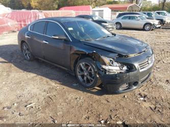 NISSAN MAXIMA 3.5 SV