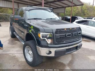 FORD F-150 XLT