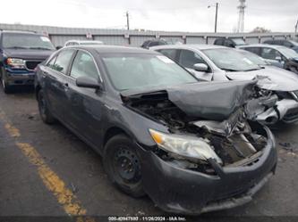 TOYOTA CAMRY HYBRID