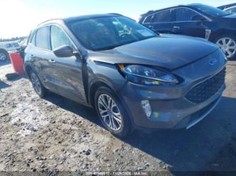 FORD ESCAPE SEL