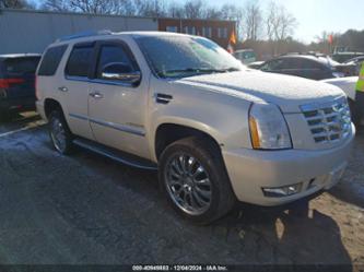 CADILLAC ESCALADE STANDARD