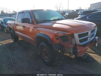 DODGE DAKOTA TRX