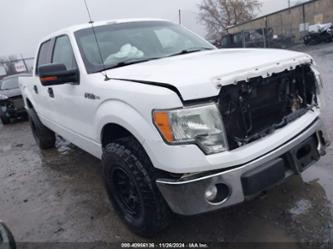 FORD F-150 XLT