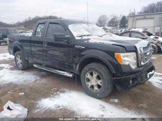 FORD F-150 STX/XL