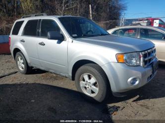 FORD ESCAPE XLT