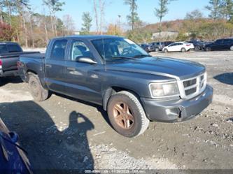 RAM DAKOTA BIGHORN/LONESTAR