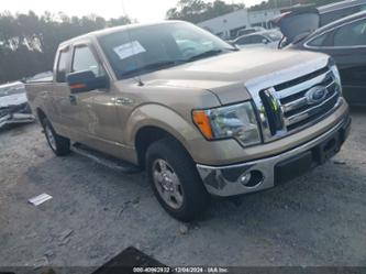 FORD F-150 XLT