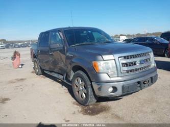 FORD F-150 XLT