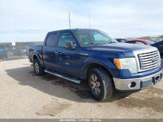 FORD F-150 XLT