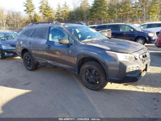 SUBARU OUTBACK WILDERNESS