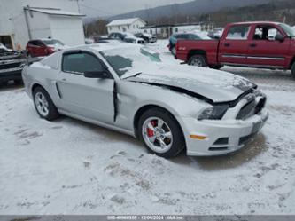 FORD MUSTANG V6