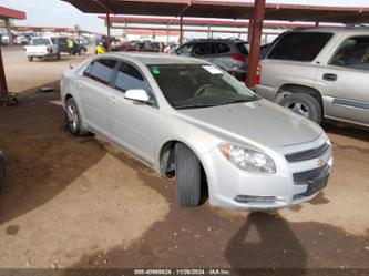 CHEVROLET MALIBU 1LT