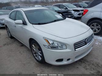 NISSAN MAXIMA 3.5 S