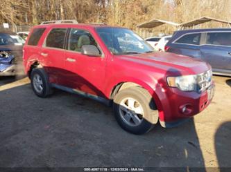 FORD ESCAPE XLT