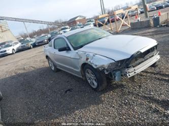 FORD MUSTANG V6