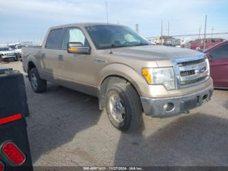 FORD F-150 XLT