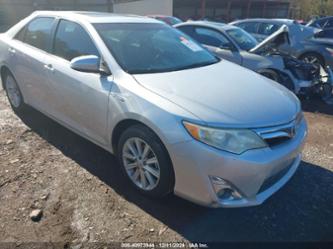 TOYOTA CAMRY HYBRID XLE