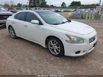 NISSAN MAXIMA 3.5 SV