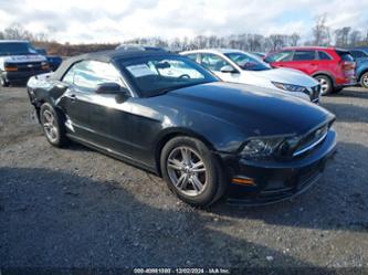 FORD MUSTANG V6