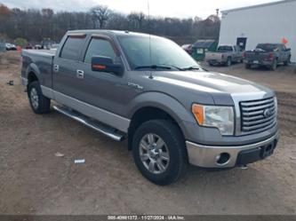 FORD F-150 XLT