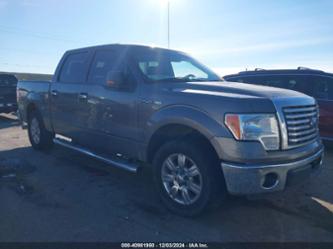 FORD F-150 XLT