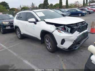 TOYOTA RAV4 HYBRID XLE