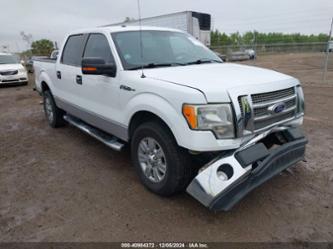 FORD F-150 XLT