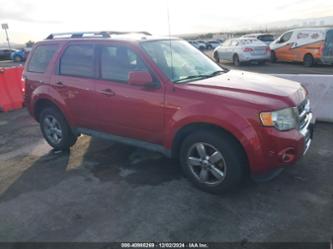 FORD ESCAPE LIMITED