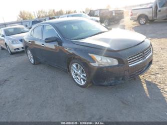 NISSAN MAXIMA 3.5 S