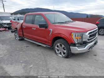 FORD F-150 XLT