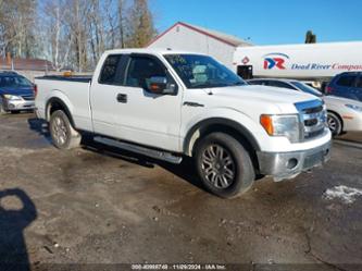 FORD F-150 XLT