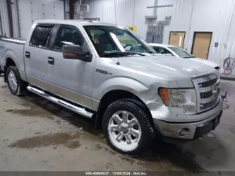 FORD F-150 XLT