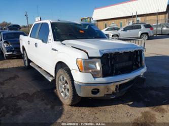 FORD F-150 XLT