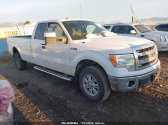 FORD F-150 XLT