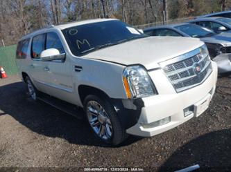 CADILLAC ESCALADE PLATINUM EDITION