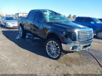 FORD F-150 FX4/HARLEY-DAVIDSON/KING RANCH/LARIAT/PLATINUM/XL/XLT