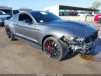 FORD MUSTANG SHELBY GT500 FASTBACK