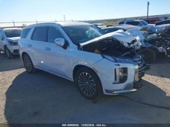 HYUNDAI PALISADE CALLIGRAPHY