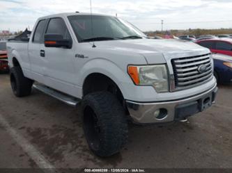 FORD F-150 XLT