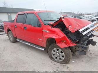 FORD F-150 XLT