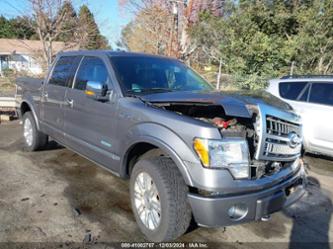 FORD F-150 PLATINUM