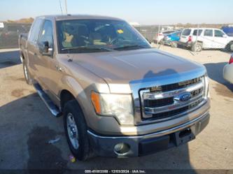 FORD F-150 XLT