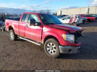 FORD F-150 FX4/LARIAT/XL/XLT