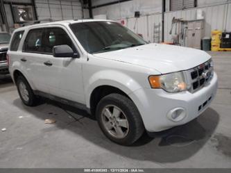 FORD ESCAPE XLT