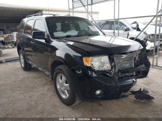 FORD ESCAPE XLT