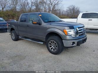 FORD F-150 XL/XLT