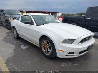 FORD MUSTANG V6