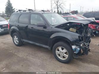 FORD ESCAPE XLT