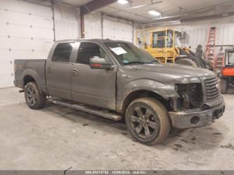 FORD F-150 FX4